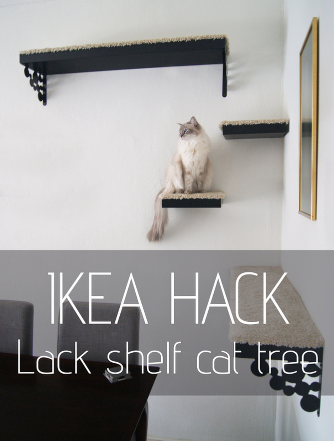 Ikea Making A New Cat Tree Tatiana S Delights - Ikea Cat Wall Shelves Diy